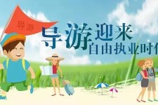 泰兴私人伴游 “网约导游”到底是正流行 还是不热闹