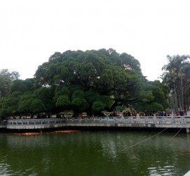 泰兴福州旅游攻略(福州旅游攻略二日游)