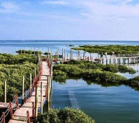泰兴旅游哪里好玩(云南旅游哪里好玩)