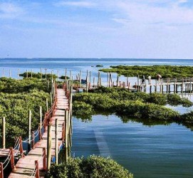 泰兴旅游哪里好玩(云南旅游哪里好玩)
