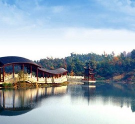 泰兴景点介绍(景点介绍模板)