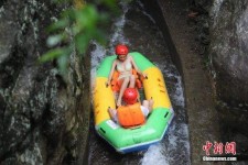 泰兴伴游中国三亚(三亚结伴旅游网)