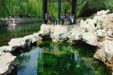 泰兴济南旅游攻略(青岛威海济南旅游攻略)