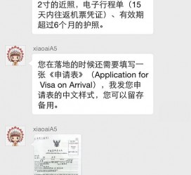 泰兴国外伴游软件进中国的(国内高端伴游哪个app好)