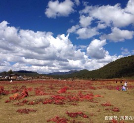 泰兴旅游去处(暑期最好的旅游去处)
