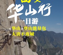 泰兴一日游(一日游需要准备些什么东西?)