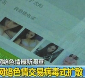 泰兴上海伴游 伴游女郎白天陪玩晚上陪睡 网络跑火日薪过万(图)