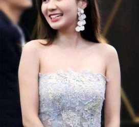 泰兴cnbanycom伴游中国明星的简单介绍