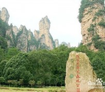 泰兴自驾旅游攻略(自驾旅游攻略app排行榜)
