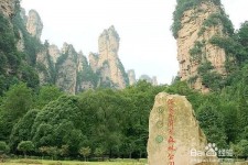 泰兴自驾旅游攻略(自驾旅游攻略app排行榜)