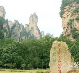 泰兴自驾旅游攻略(自驾旅游攻略app排行榜)