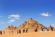 泰兴旅游图片大全(跟团旅游图片大全)