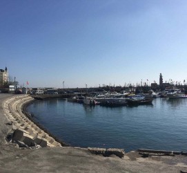 泰兴大连旅游攻略(大连旅游攻略自由行)