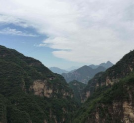泰兴伴游中国伴游城(伴游网上海)