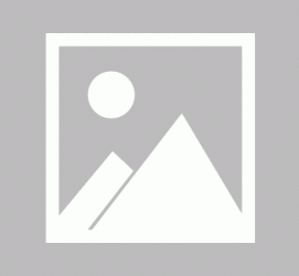 泰兴私人伴游 黄金周里动“黄”经 天津又现“私人陪游”逆流
