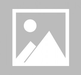泰兴辽宁伴游雇用信息(辽宁伴游雇用信息最新)