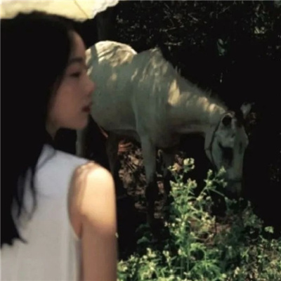 泰兴私家伴游让你拥有一次完美的旅游体验