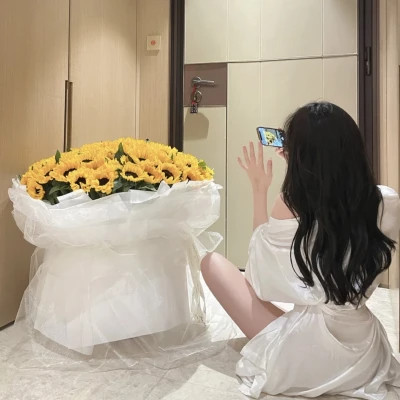 泰兴商务伴游带客户畅游北京故宫,感受千年文化